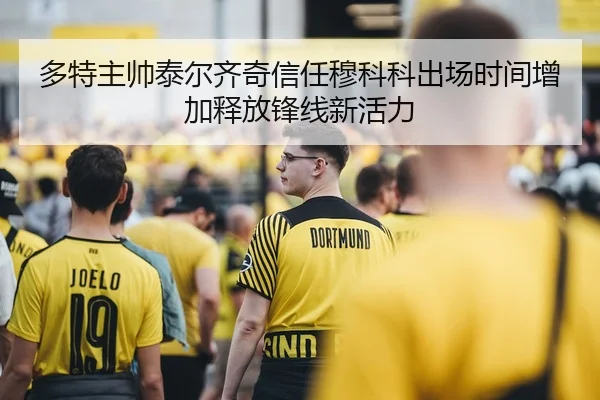 多特主帅泰尔齐奇信任穆科科出场时间增加释放锋线新活力