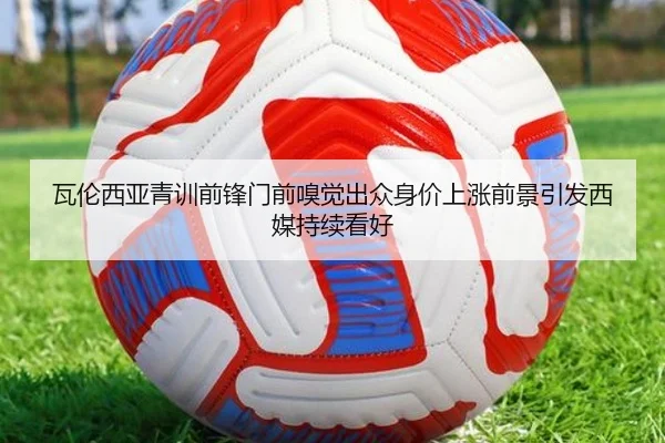 img_1785144407266_1734_1_739.jpg